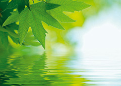 SGS acquires MIS Environmental Ltd. and MIS Testing Ltd., UK