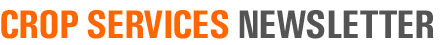 Newsletter Title